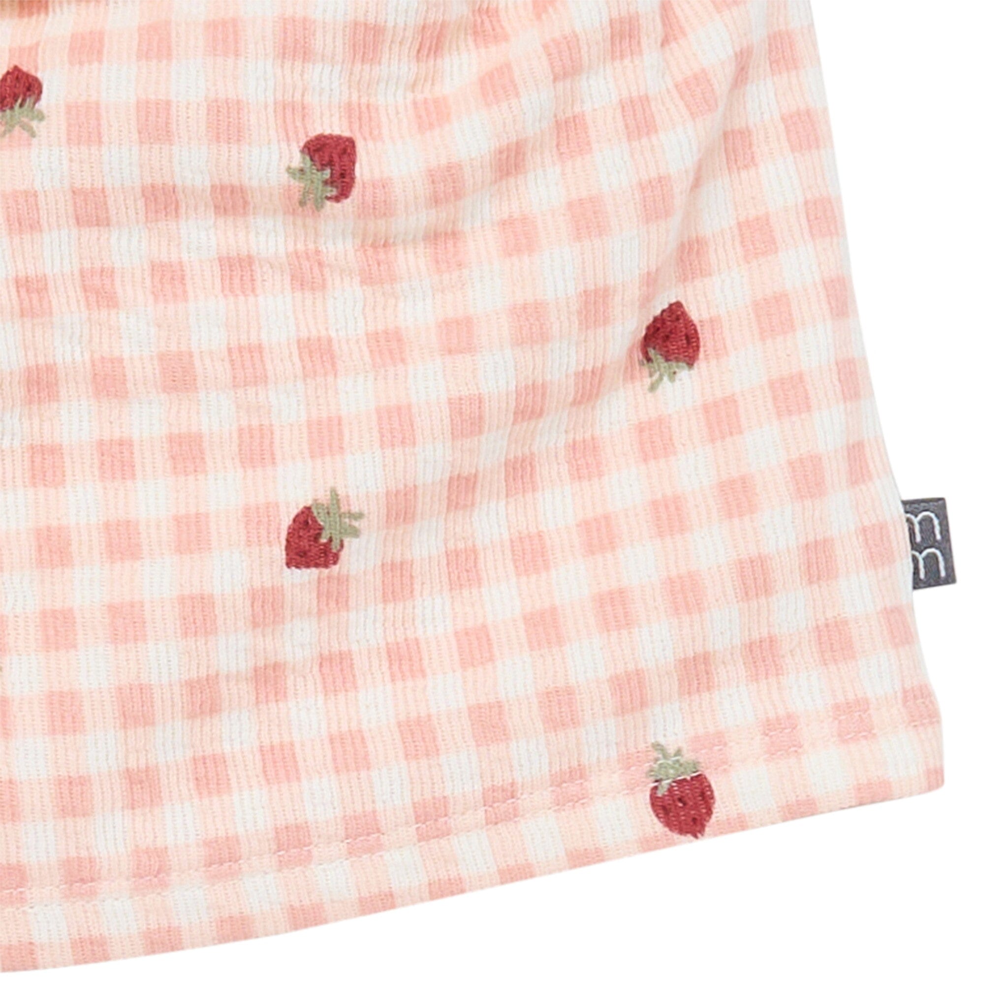 2-Piece Infant & Toddler Girls Rose Strawberry Gingham Top and Shorts Set