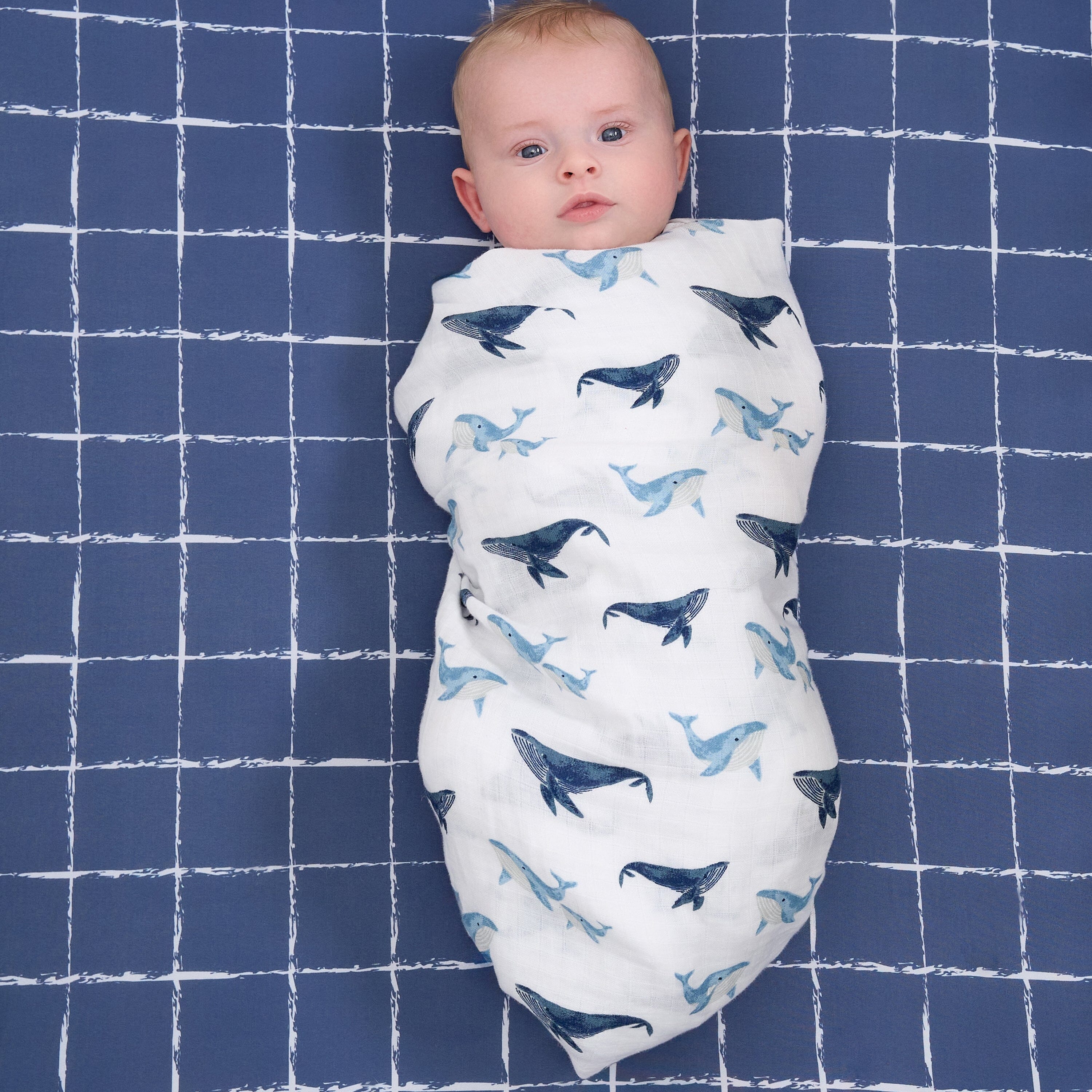 2-Pack Baby Boys Coastal Calm Muslin Blankets