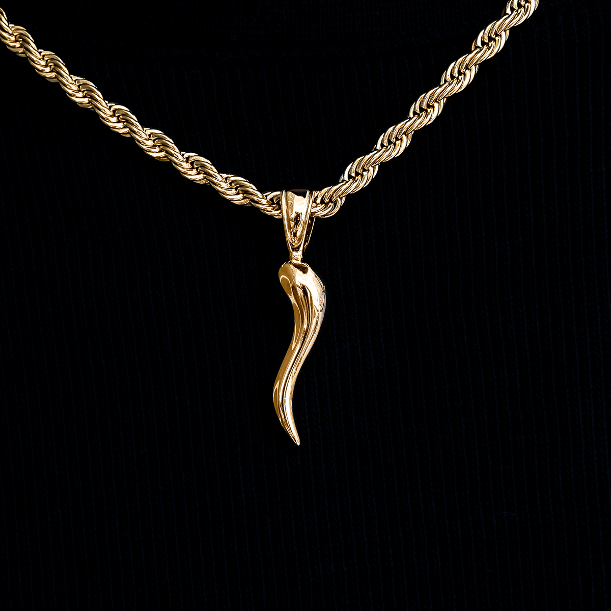 Italian Horn Pendant