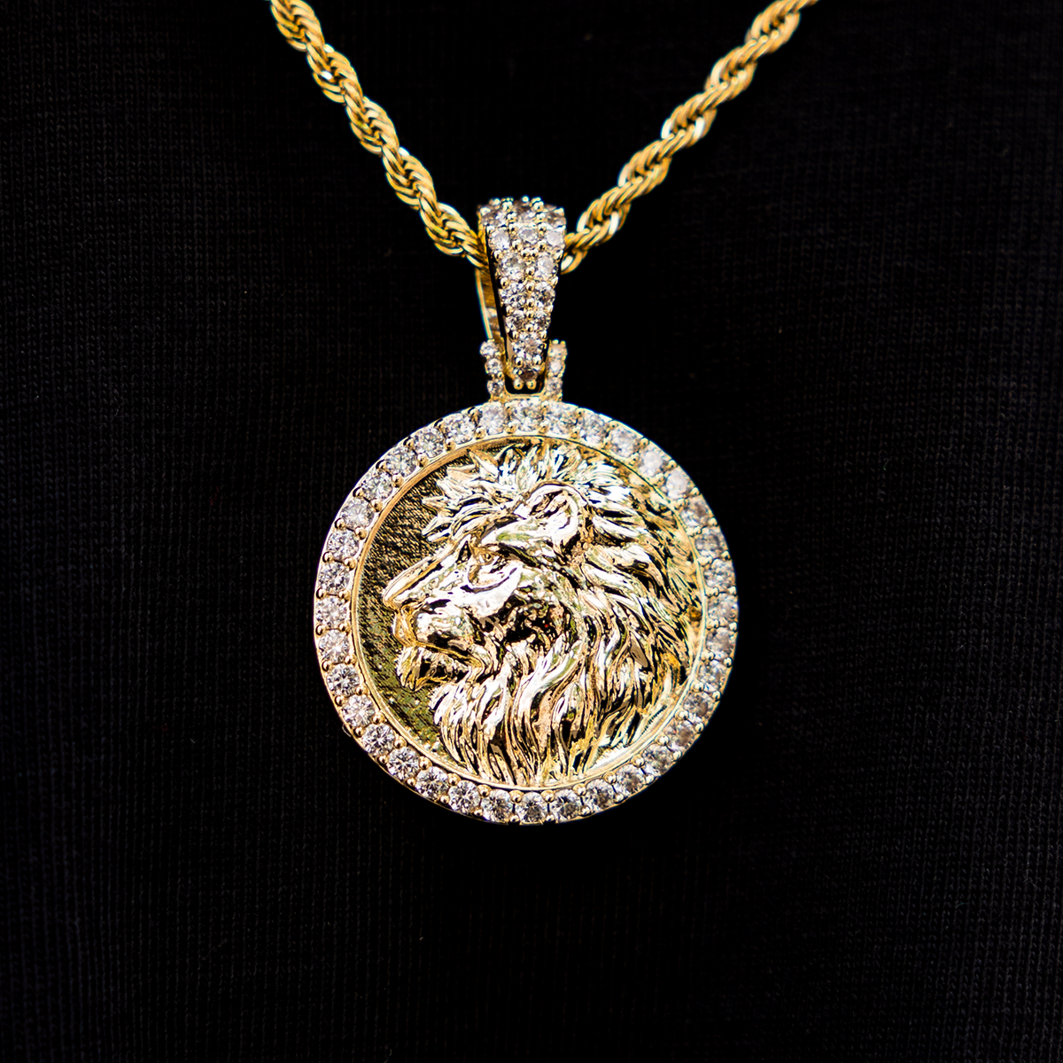 Lion Coin Pendant