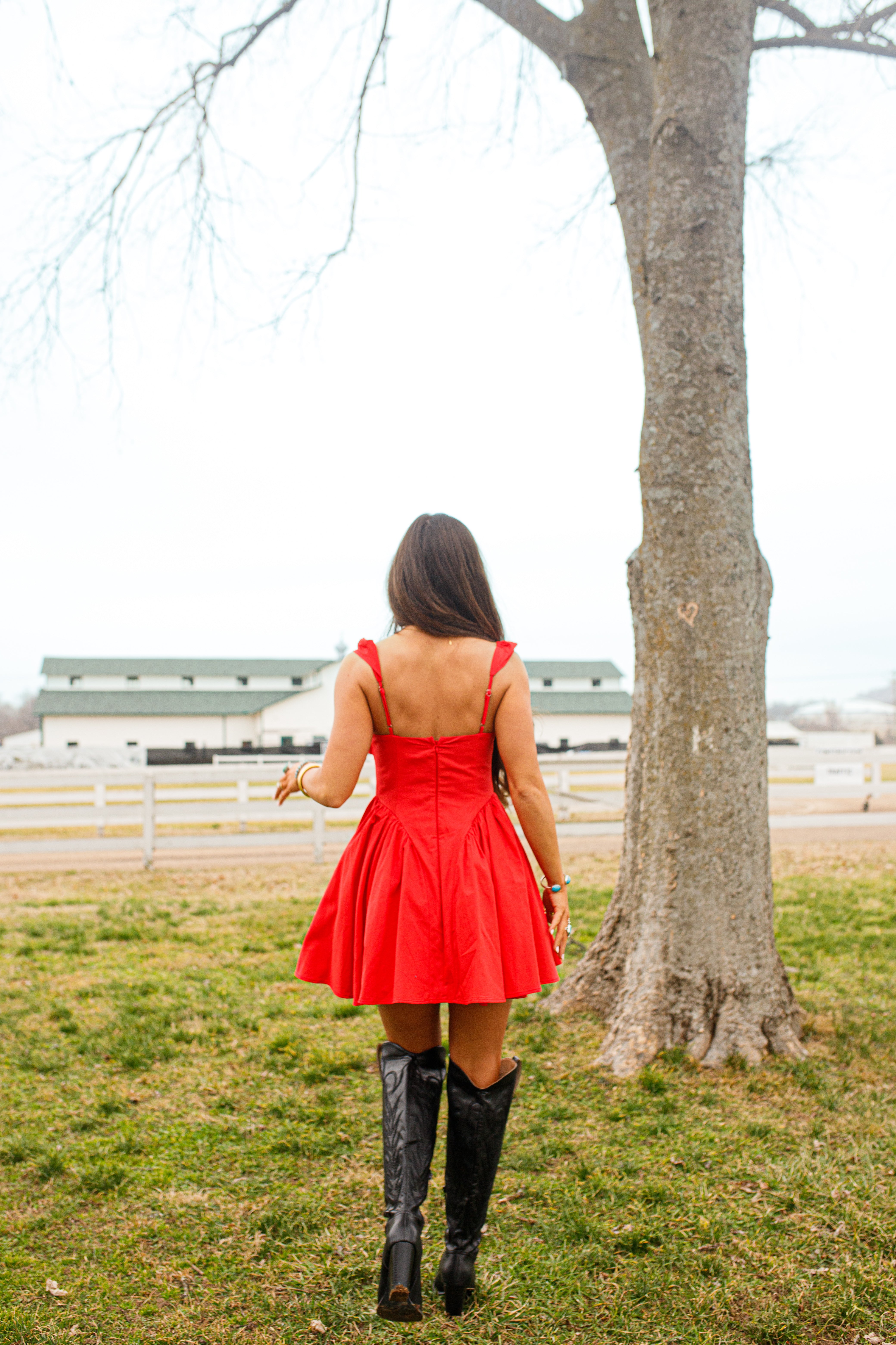 Heartland Mini Dress