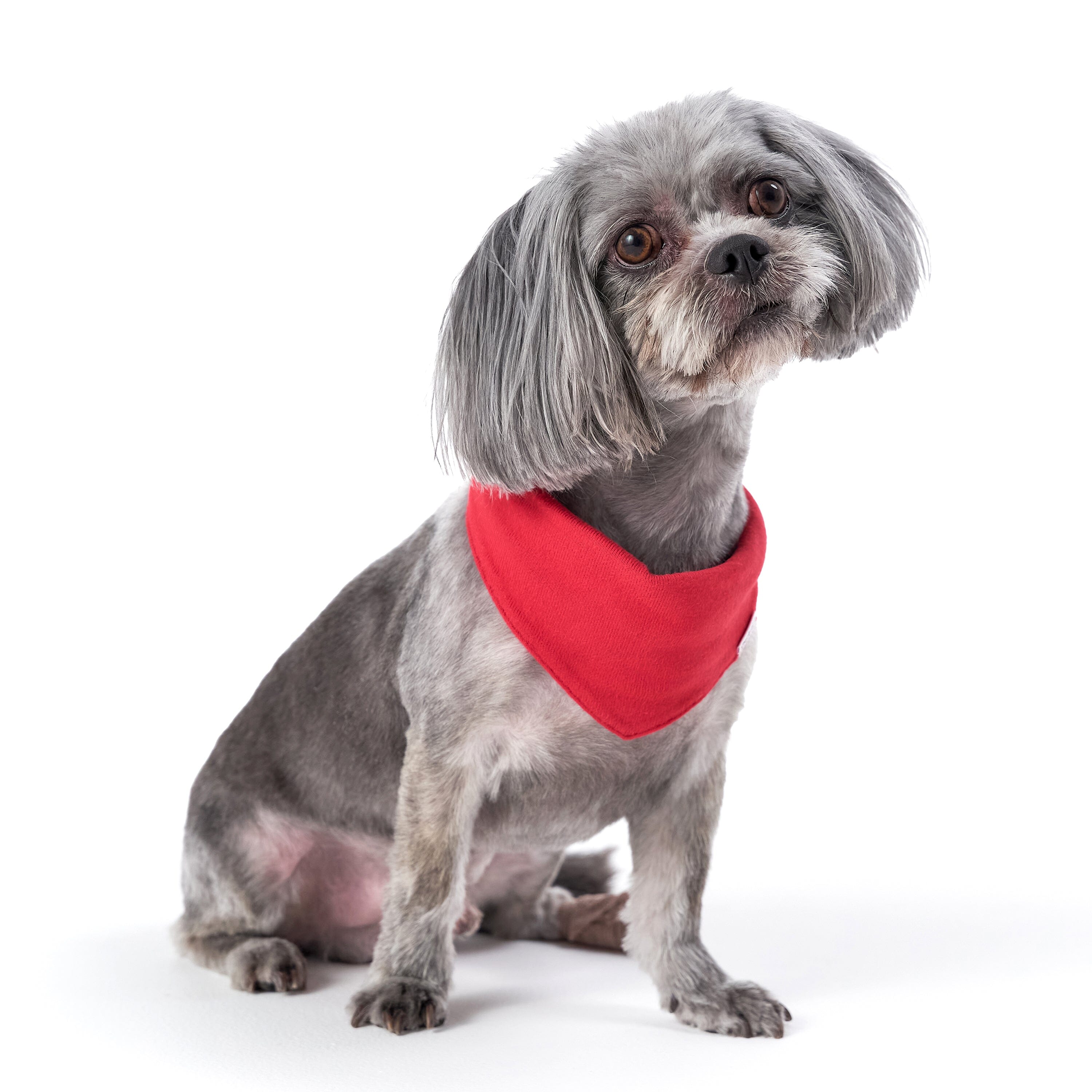 Red Hacci Pet Bandana