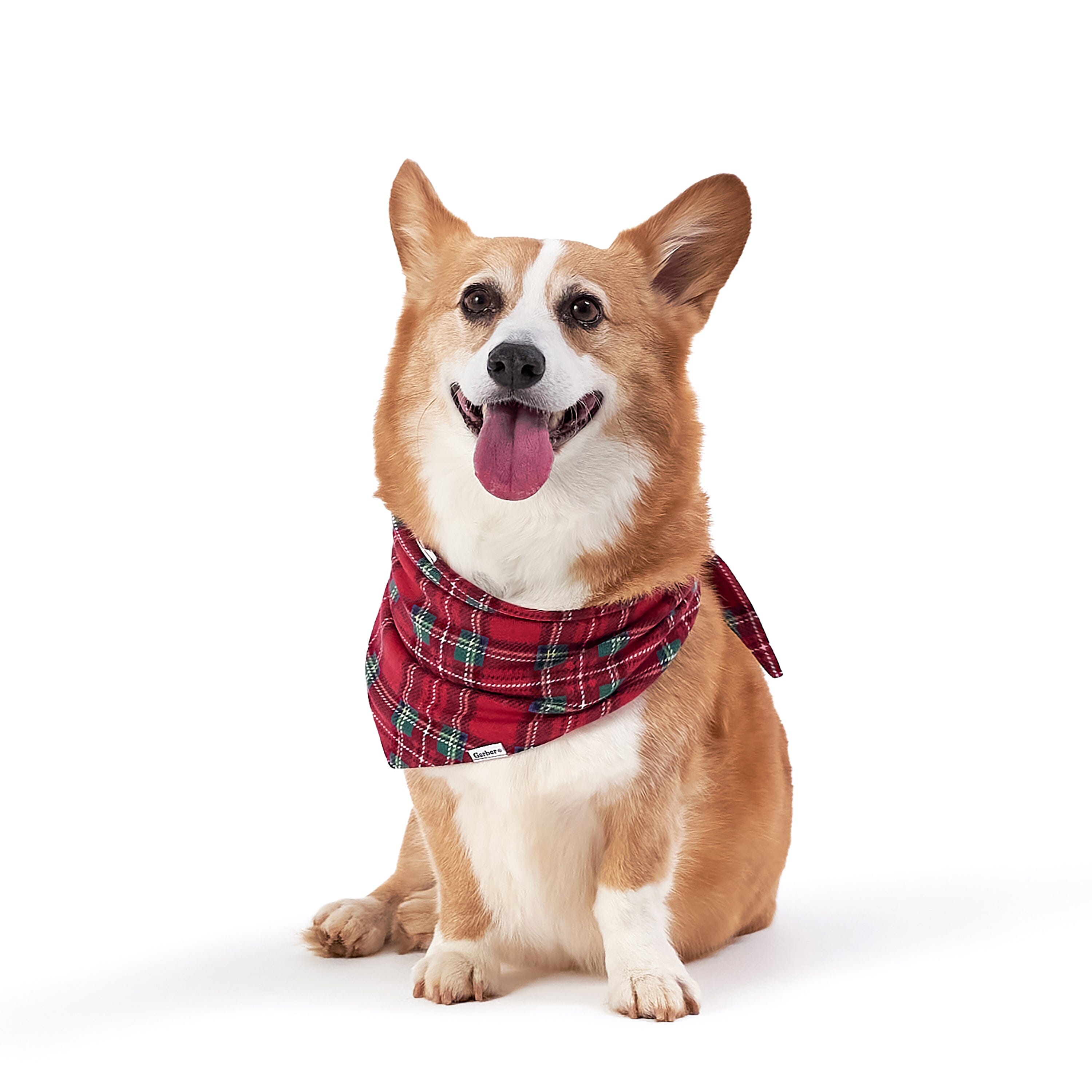 Stewart Plaid Hacci Pet Bandana