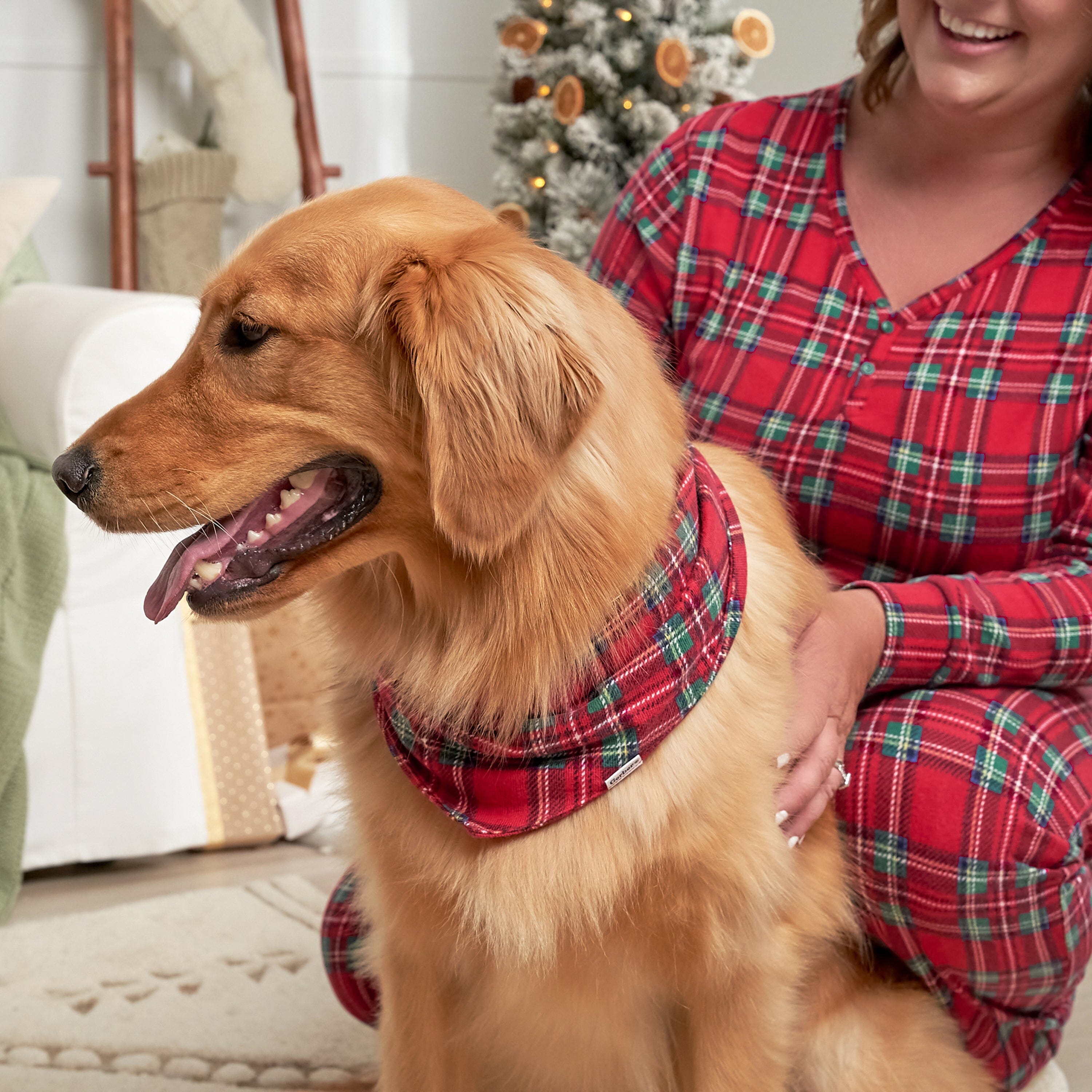 Stewart Plaid Hacci Pet Bandana