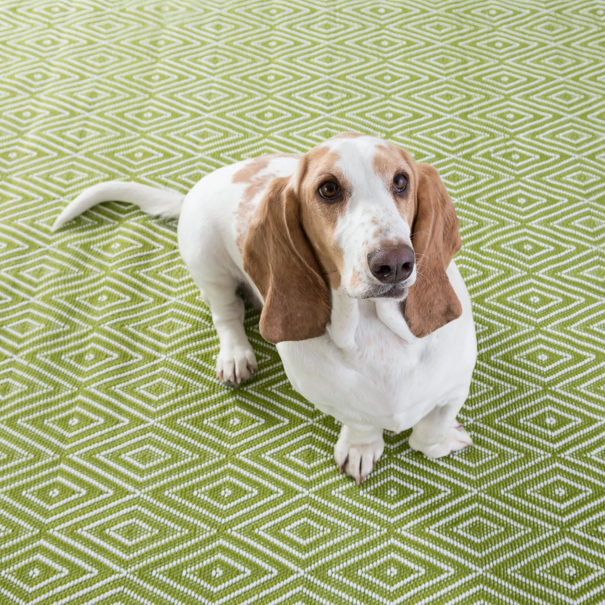 Diamond Sprout/White Handwoven Indoor/Outdoor Rug