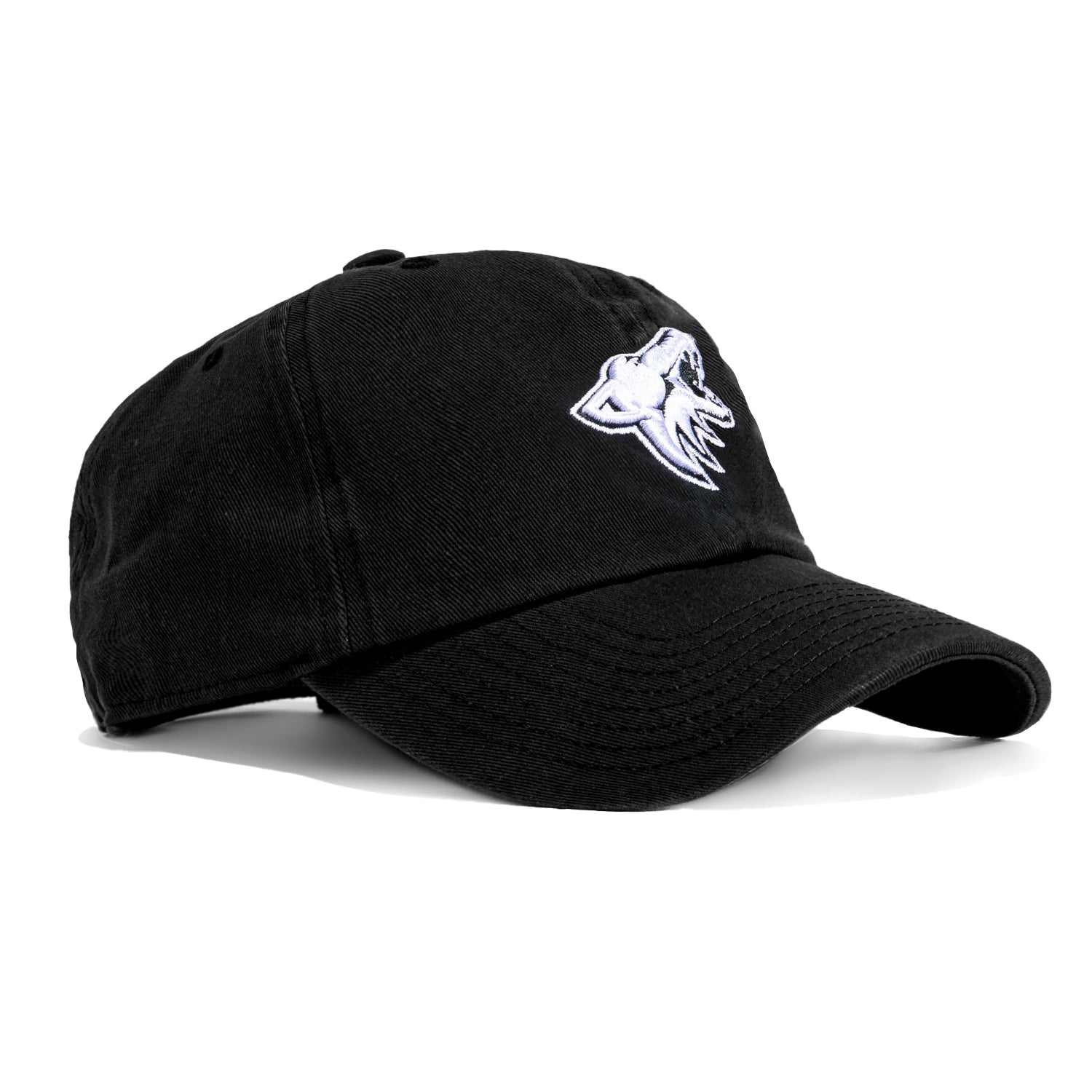 47 Brand Arizona Coyotes Adjustable Cleanup Hat - Black, White