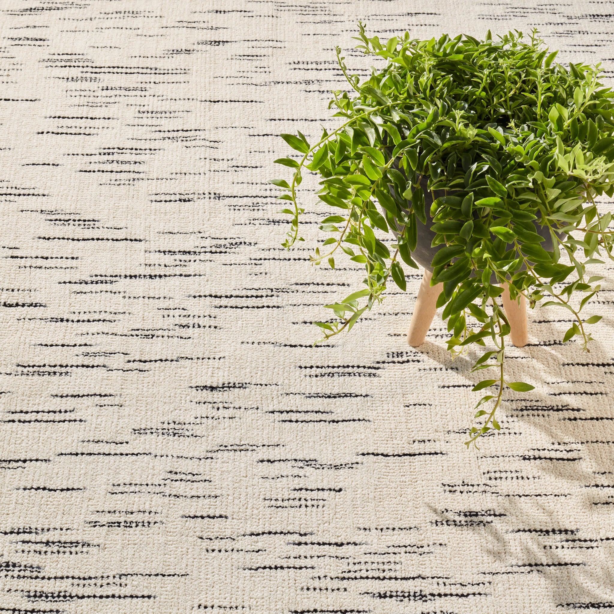 Ozzie Black/White Hand Loom Knotted Wool Rug