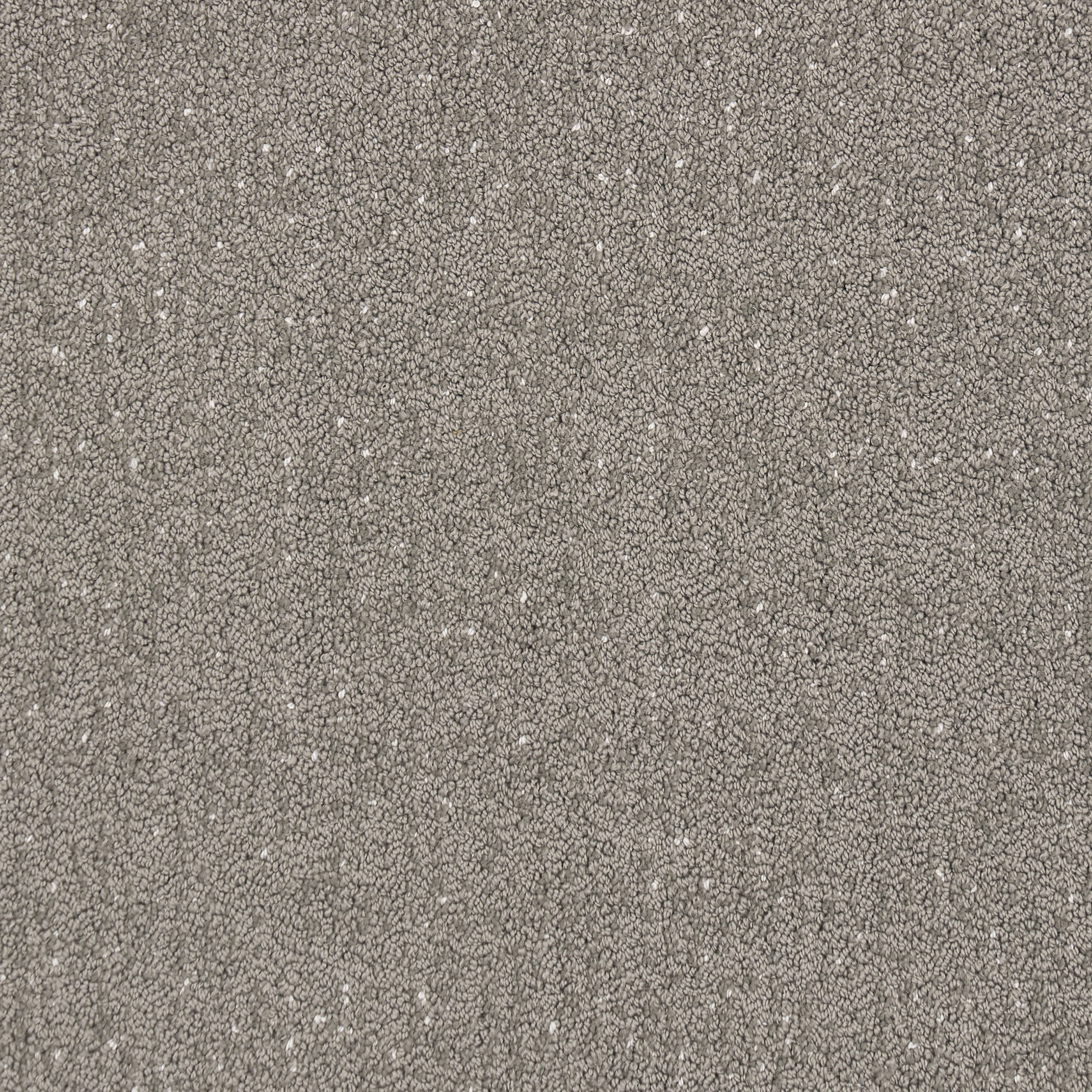 Bittern Speckled Custom Rug | Grey