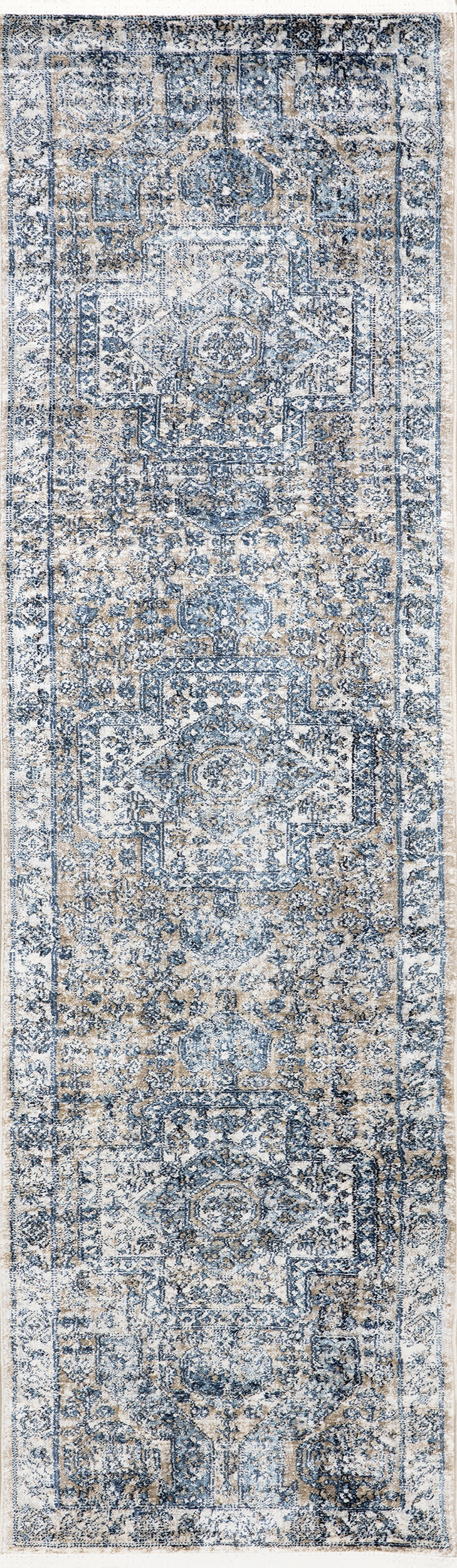 Distressed Medallion Rug | Blue