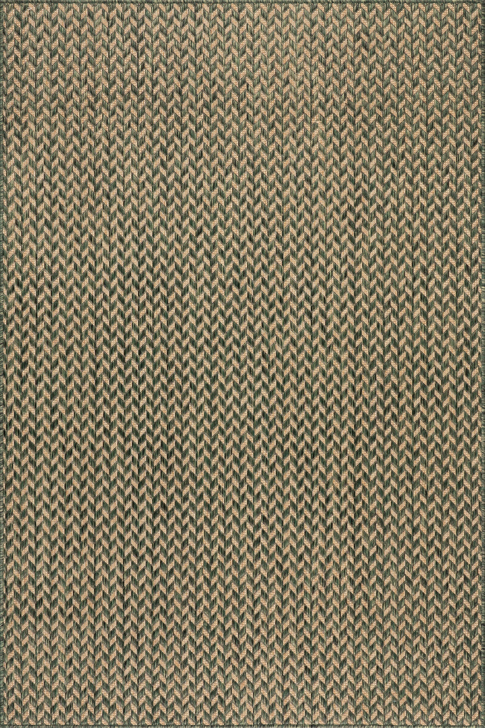 Taraji Herringbone Indoor/Outdoor Rug | Green