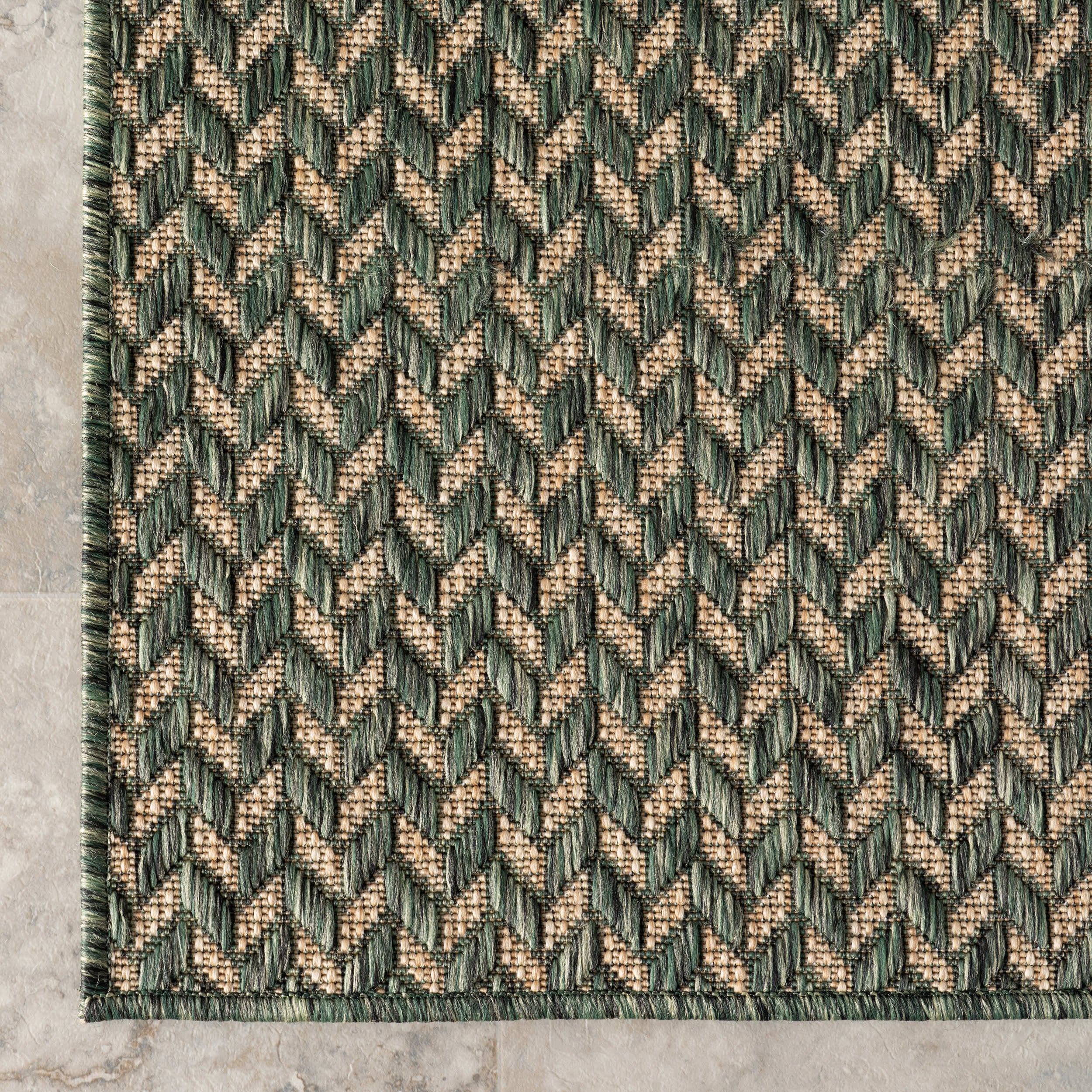 Taraji Herringbone Indoor/Outdoor Rug | Green