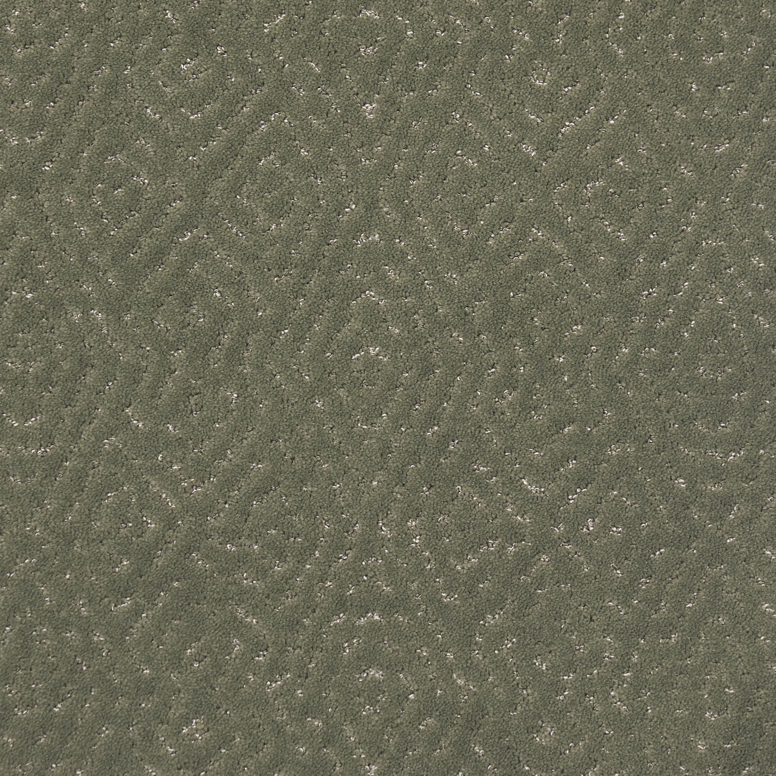 Swallowtail Trellis Custom Rug | Sage Green