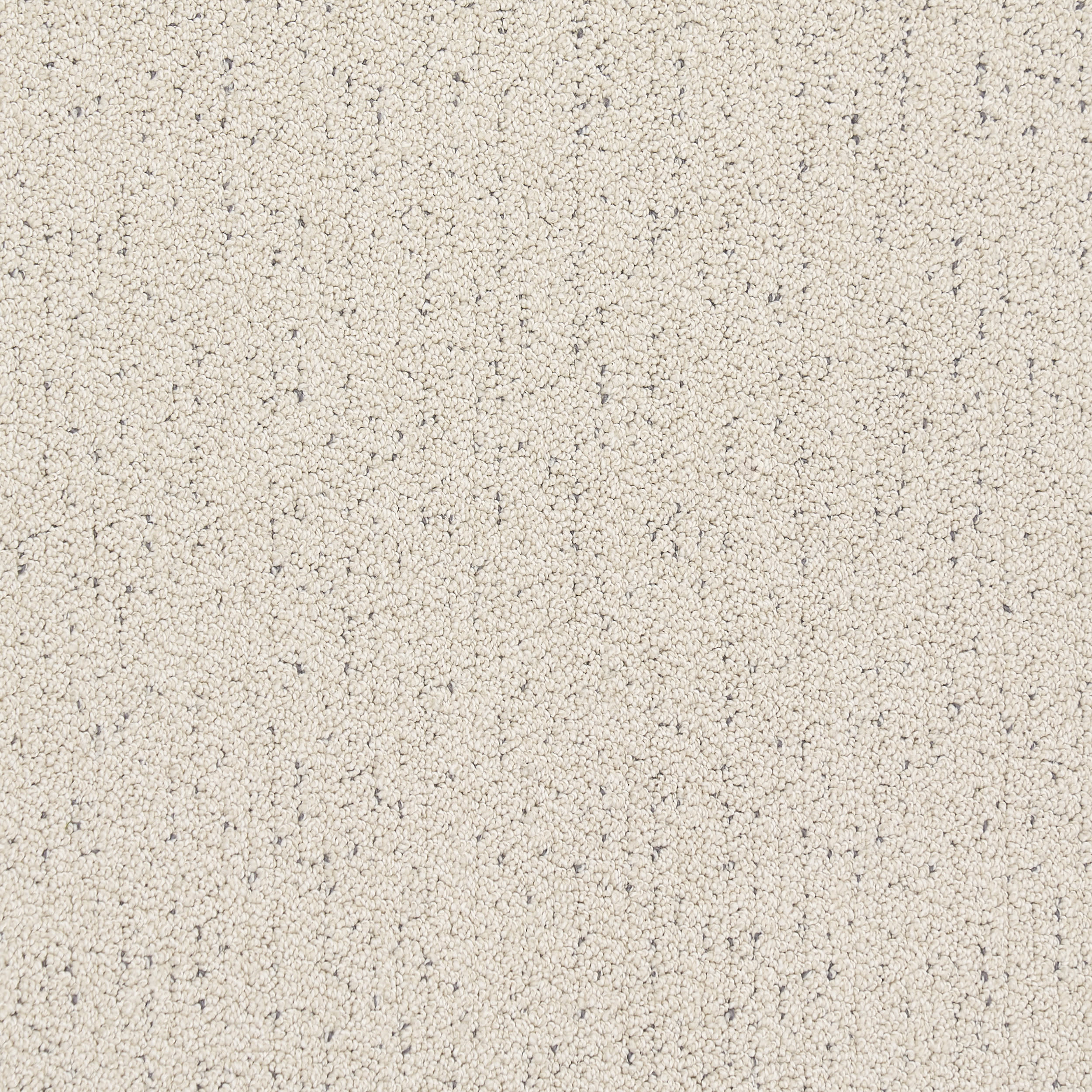 Bittern Speckled Custom Rug | Beige