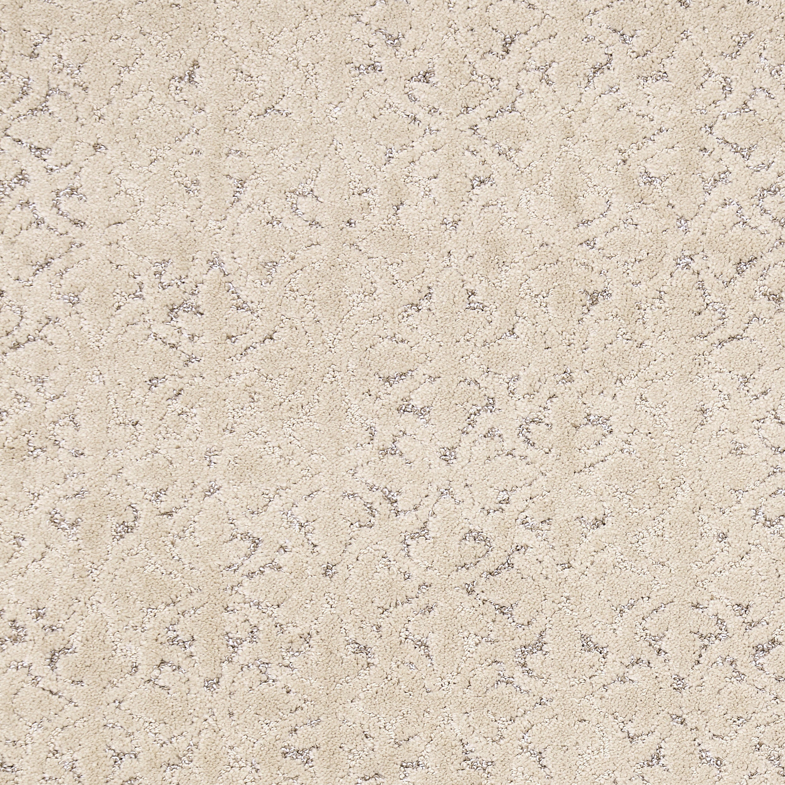 Ani Distressed Brocade Custom Sample Rug | Tan